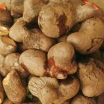 Traditional Beliefs About Bitter Yam and Sneezing