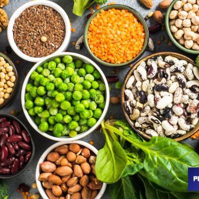 The Power of Plant-Based Protein
